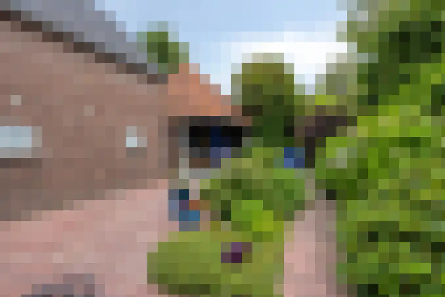 Leeksterweg 18 Haulerwijk thumbnail 59