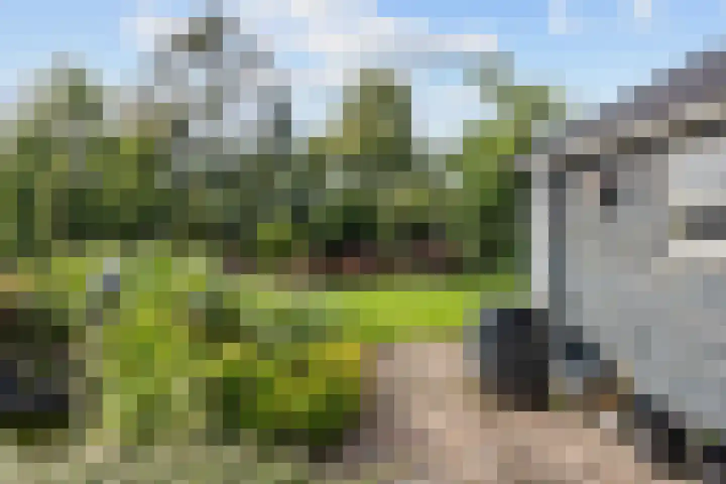 Leeksterweg 41 Haulerwijk thumbnail 53