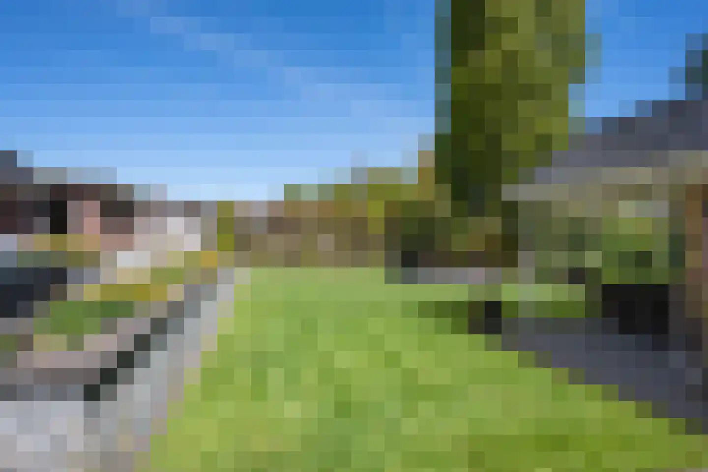 Leeksterweg 48 Haulerwijk thumbnail 47