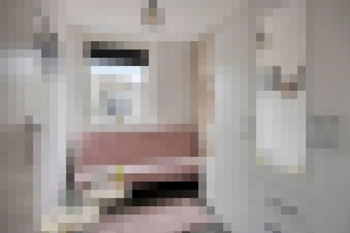 Leekstraat 7 Tilburg thumbnail 29