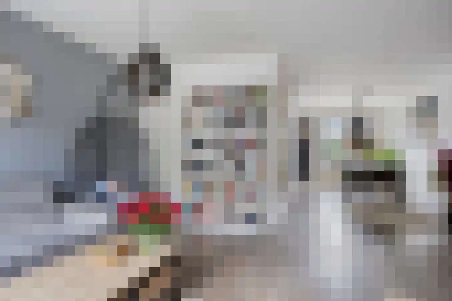 Leekstraat 7 Tilburg thumbnail 4