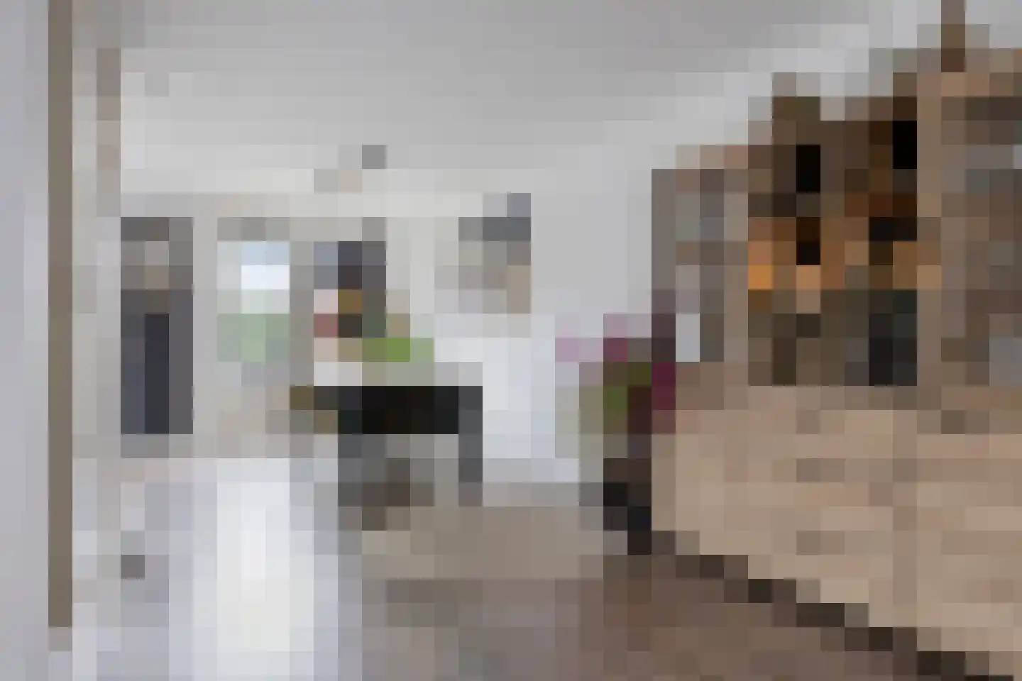Leekstraat 7 Tilburg thumbnail 5