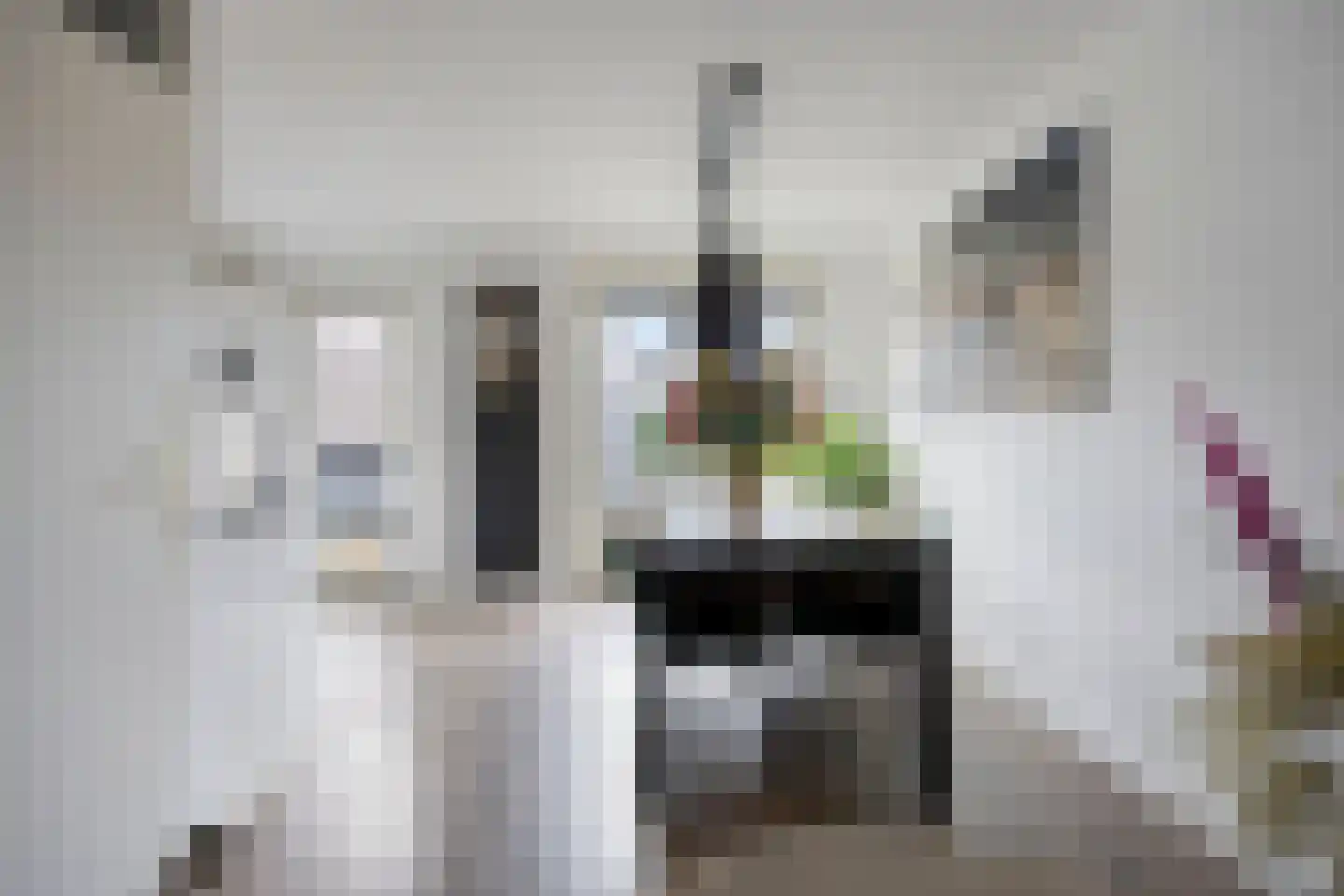 Leekstraat 7 Tilburg thumbnail 6
