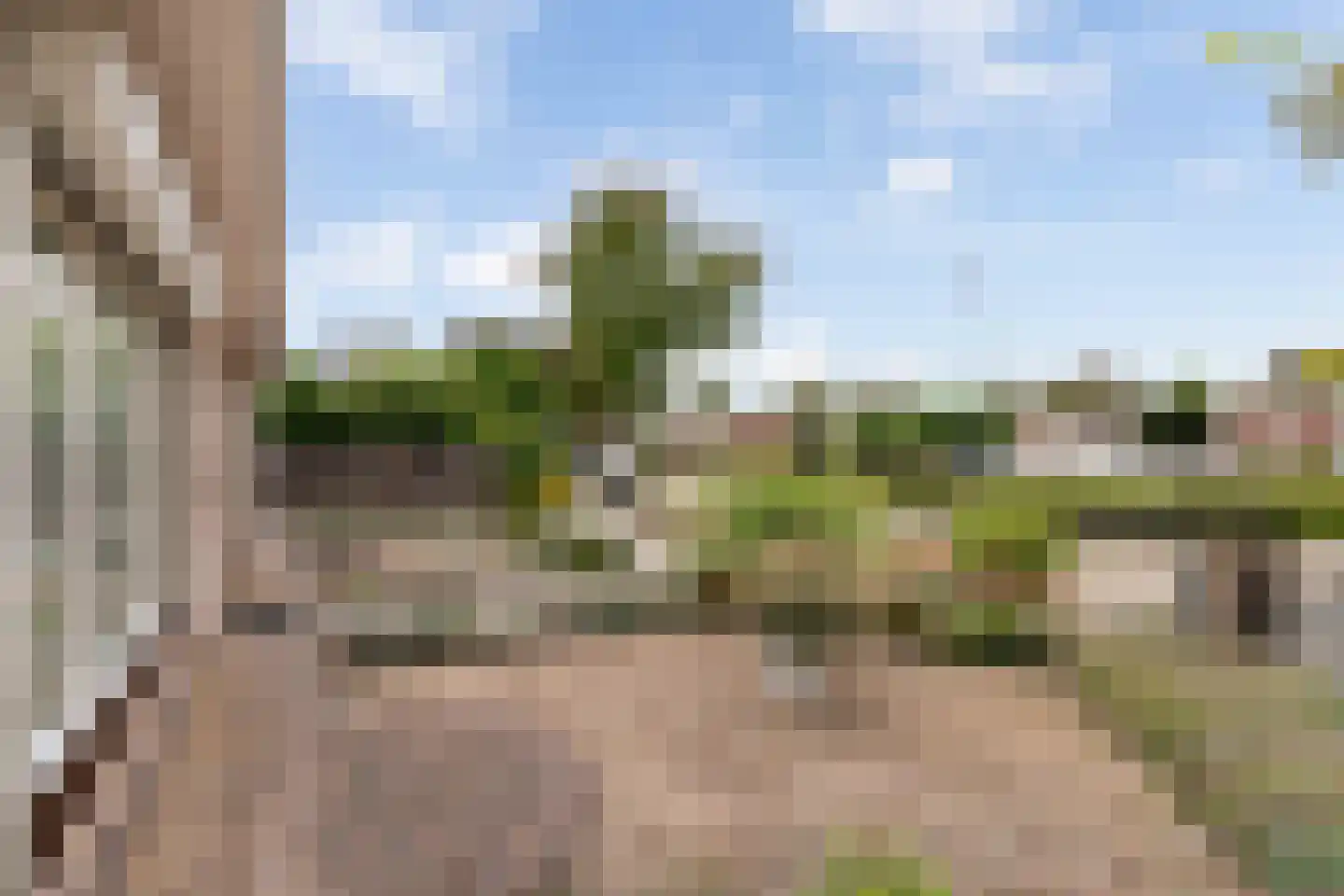Leekushofstraat 8 Weert thumbnail 10