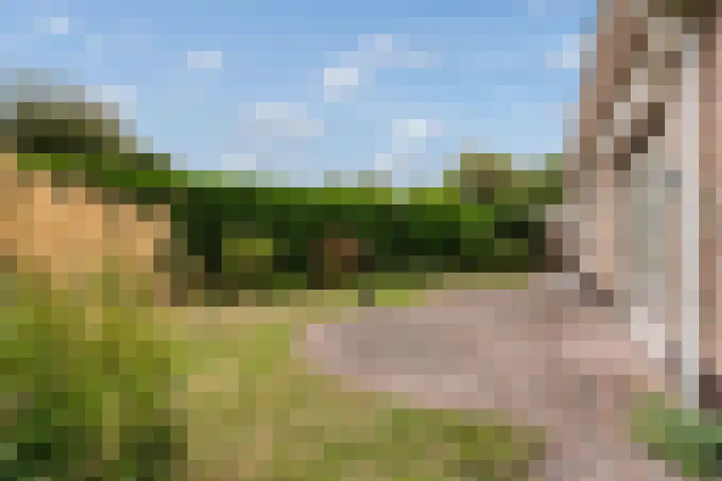 Leekushofstraat 8 Weert thumbnail 40