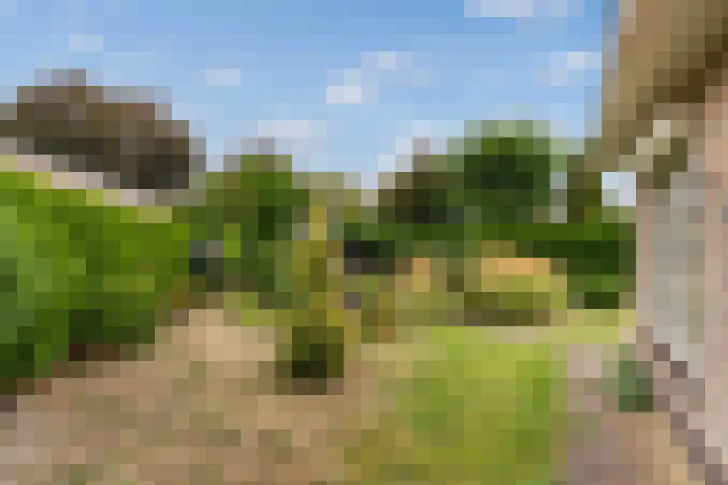 Leekushofstraat 8 Weert thumbnail 43
