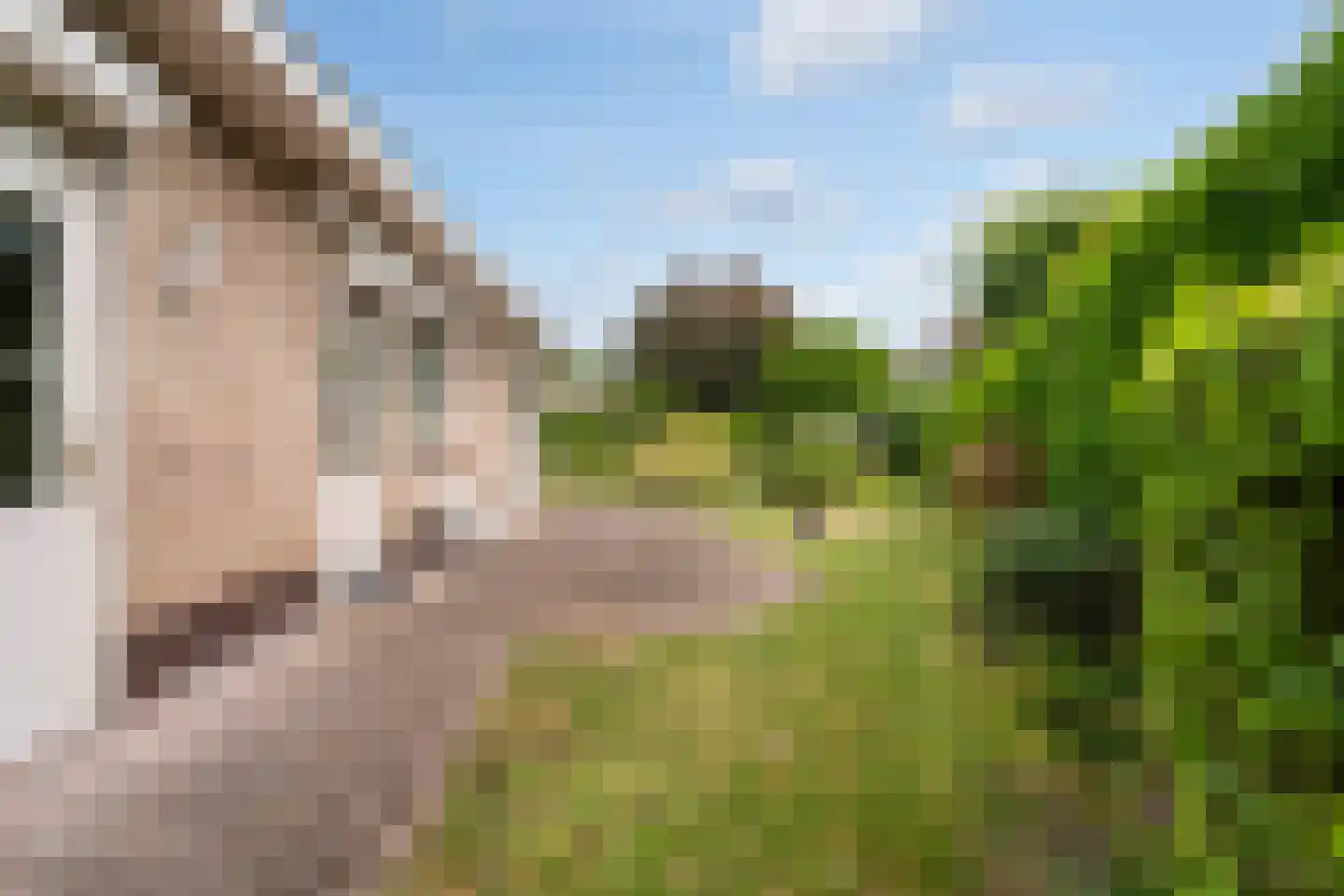 Leekushofstraat 8 Weert thumbnail 6