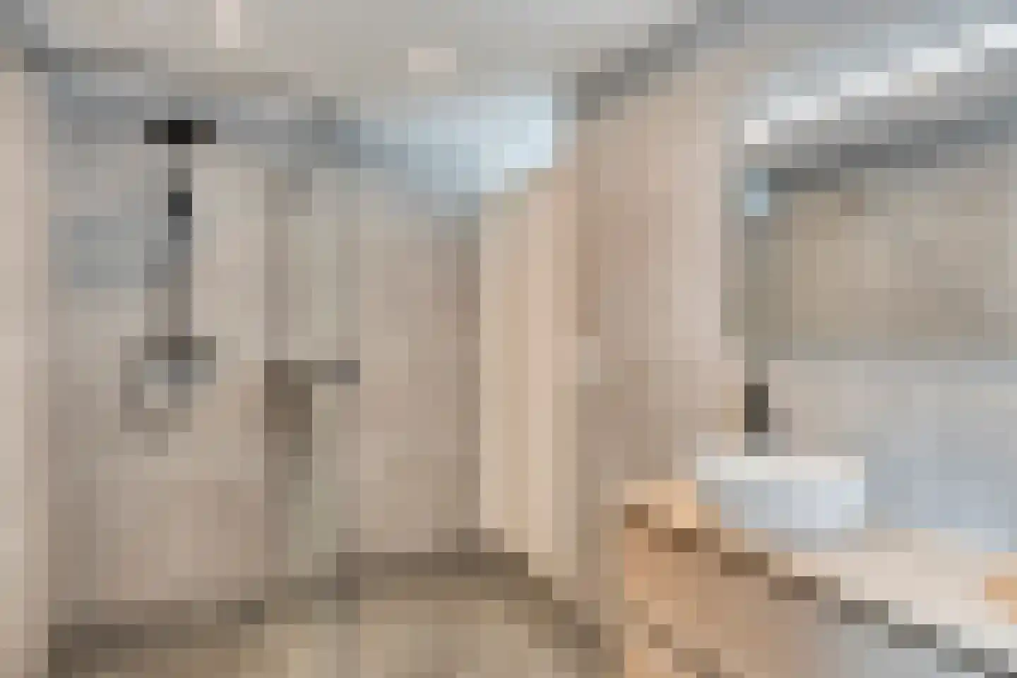 Leemakker 7 Deventer thumbnail 18