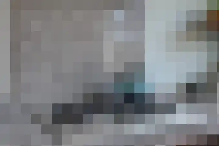 Leembergerhout 1 Harderwijk thumbnail 16