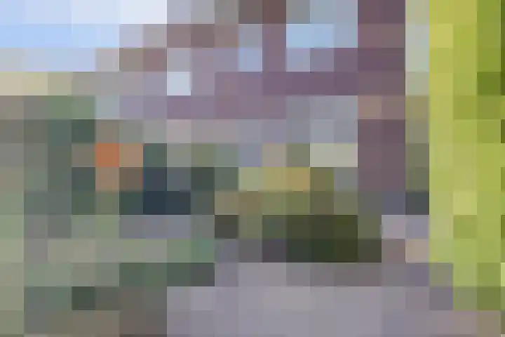 Leembergerhout 1 Harderwijk thumbnail 31
