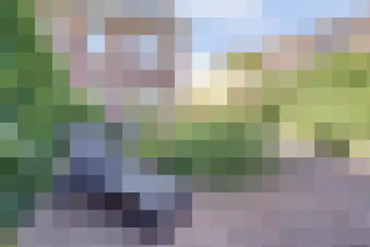 Leembergerhout 1 Harderwijk thumbnail 34