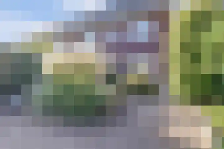 Leembergerhout 1 Harderwijk thumbnail 35