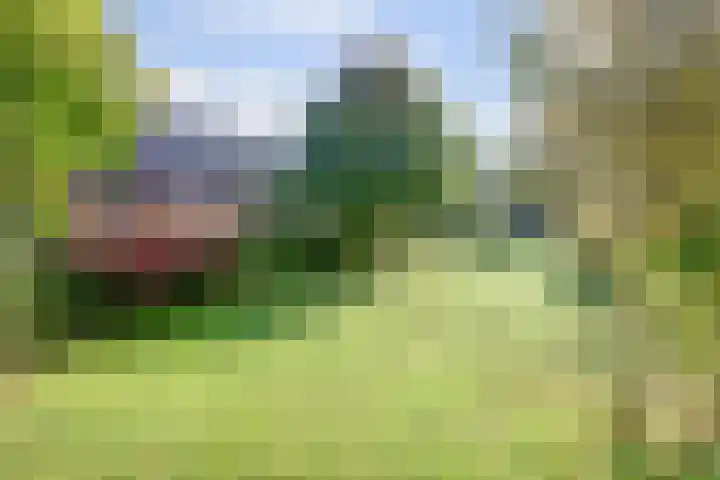 Leembergerhout 1 Harderwijk thumbnail 36