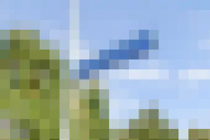 Leembergerhout 1 Harderwijk thumbnail 37