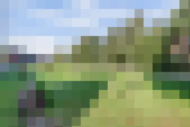 Leembergerhout 1 Harderwijk thumbnail 38