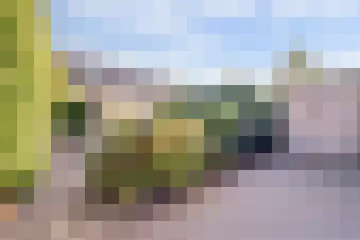 Leembergerhout 1 Harderwijk thumbnail 4