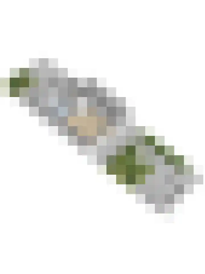 Leembergerhout 1 Harderwijk thumbnail 56