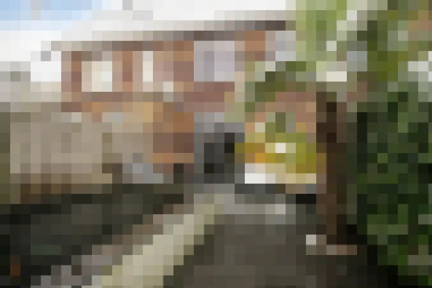 Leembergerhout 11 Harderwijk thumbnail 24