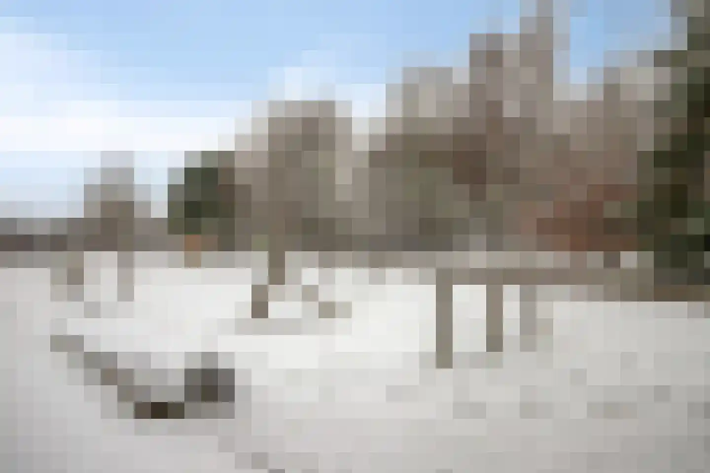 Leembergerhout 11 Harderwijk thumbnail 30