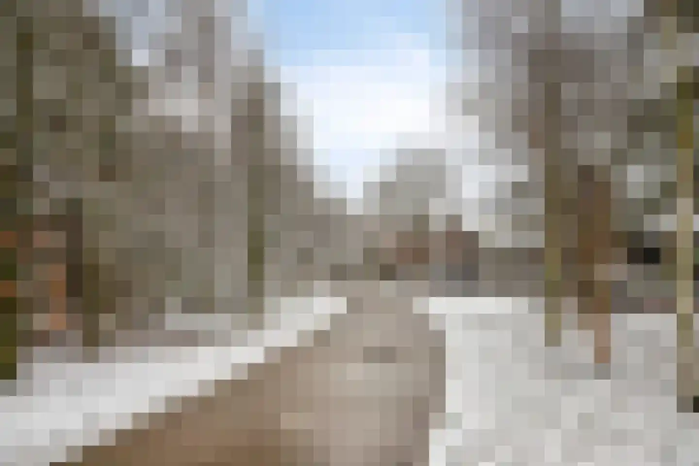 Leembergerhout 11 Harderwijk thumbnail 31