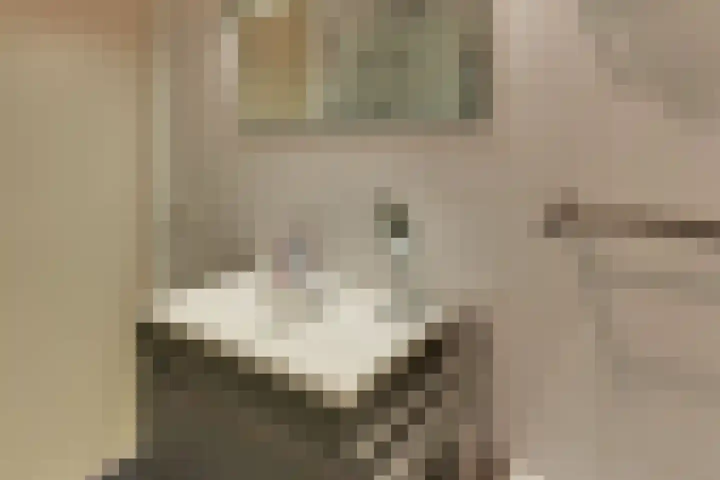 Leembergerhout 24 Harderwijk thumbnail 33