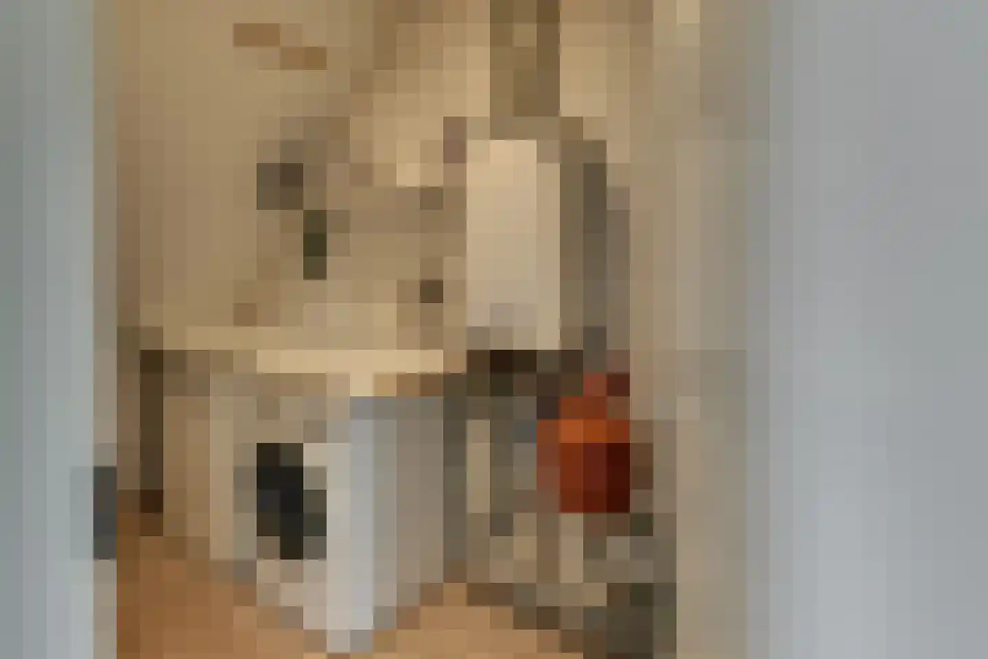 Leembergerhout 24 Harderwijk thumbnail 34