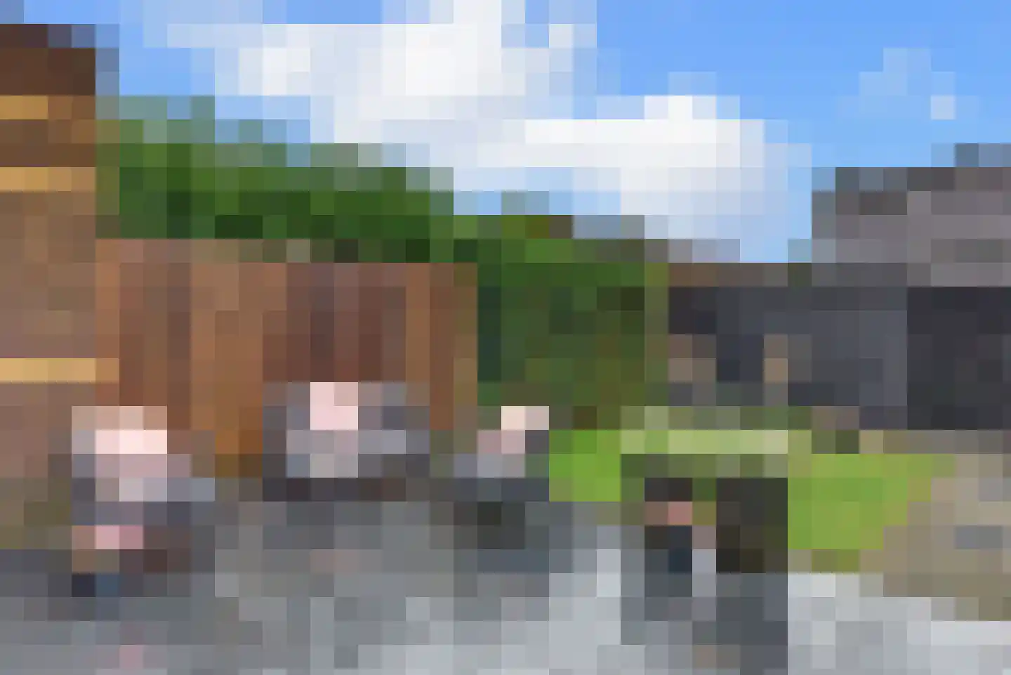 Leembergerhout 24 Harderwijk thumbnail 46