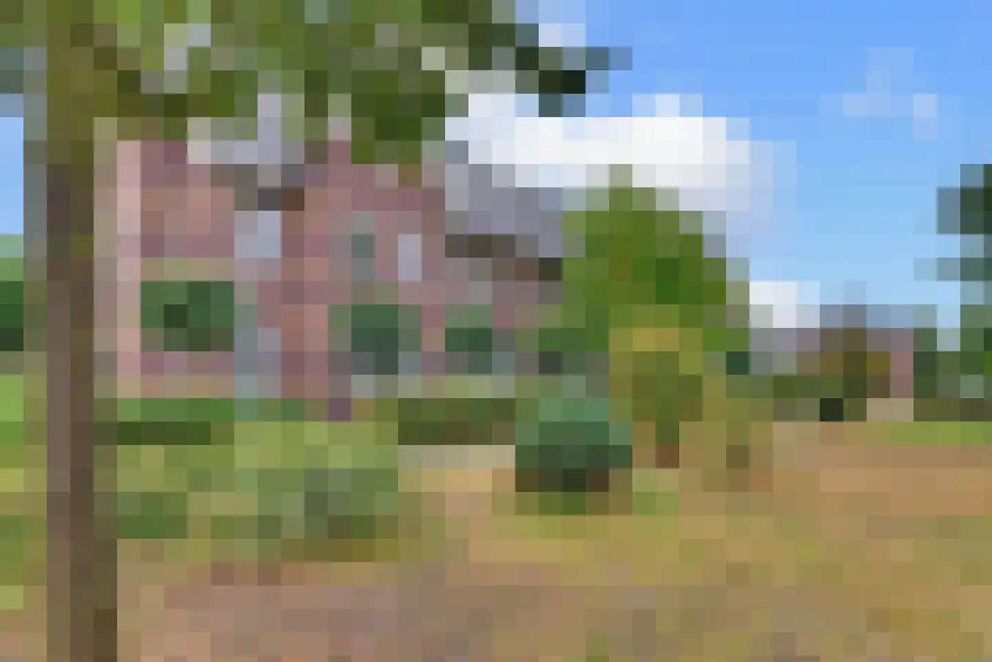 Leembergerhout 24 Harderwijk thumbnail 48