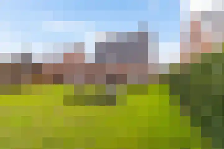 Leemdobbe 11 Zuidlaren thumbnail 11