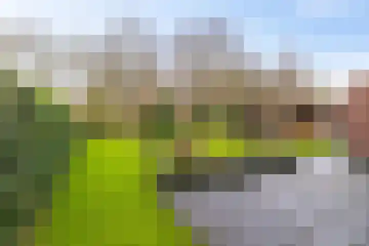 Leemdobbe 11 Zuidlaren thumbnail 12