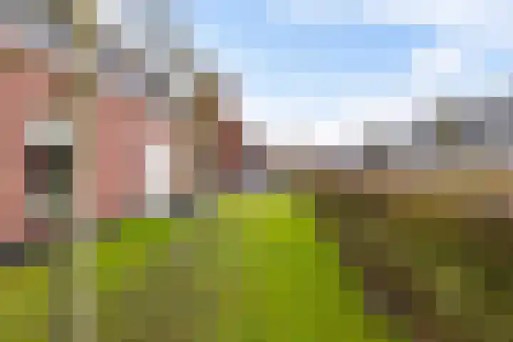Leemdobbe 11 Zuidlaren thumbnail 13