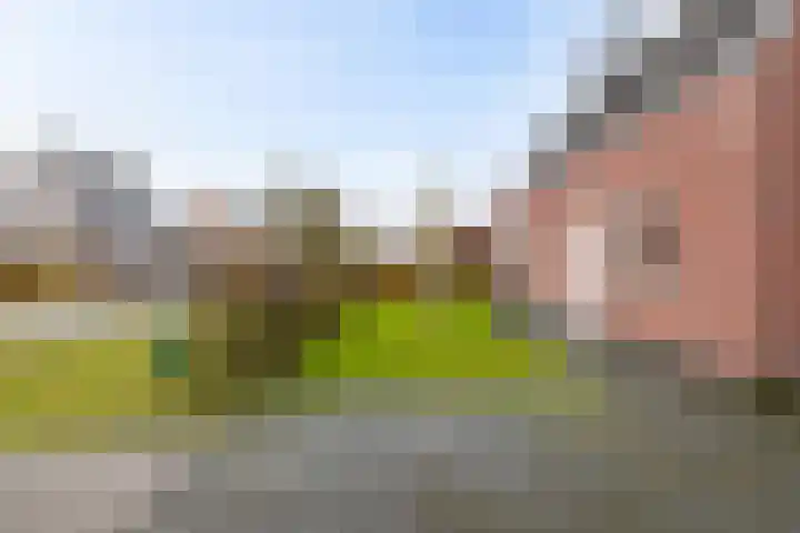 Leemdobbe 11 Zuidlaren thumbnail 15