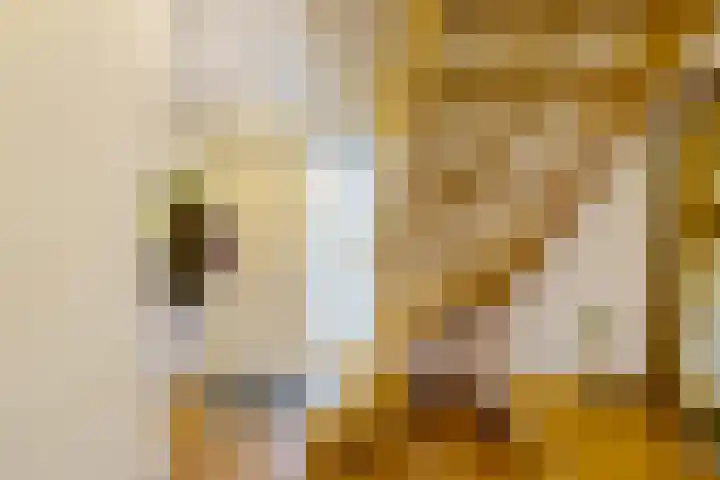Leemdobbe 11 Zuidlaren thumbnail 16