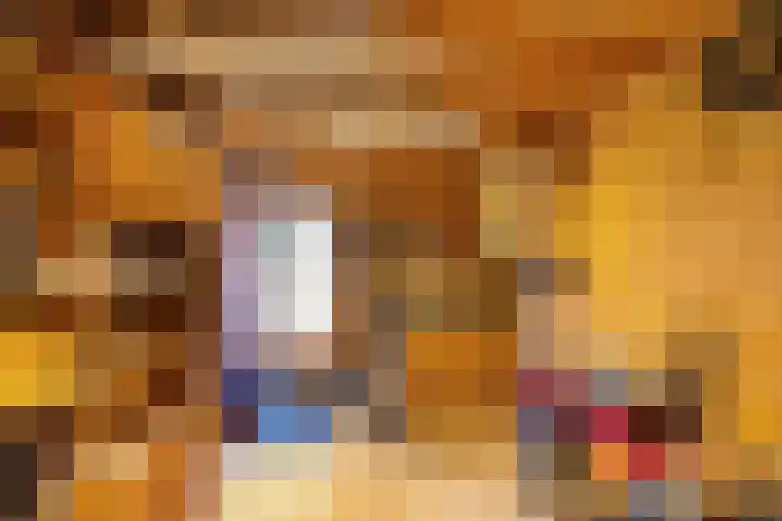 Leemdobbe 11 Zuidlaren thumbnail 28