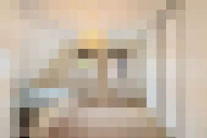 Leemdobbe 11 Zuidlaren thumbnail 32