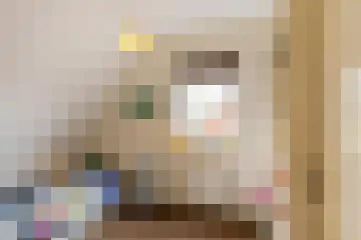 Leemdobbe 11 Zuidlaren thumbnail 35