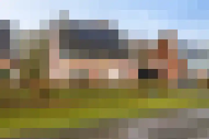 Leemdobbe 11 Zuidlaren thumbnail 6