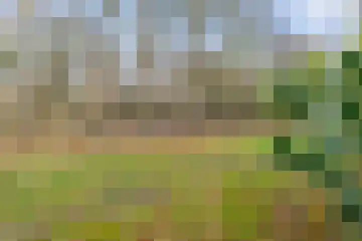 Leemdobbe 11 Zuidlaren thumbnail 8