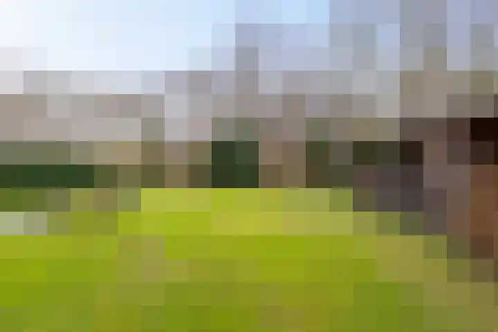 Leemdobbe 11 Zuidlaren thumbnail 9