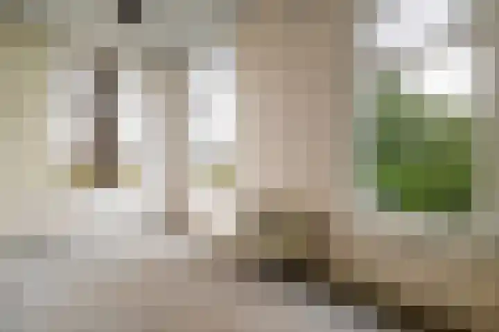 Leemdobben 14 Sellingen thumbnail 17