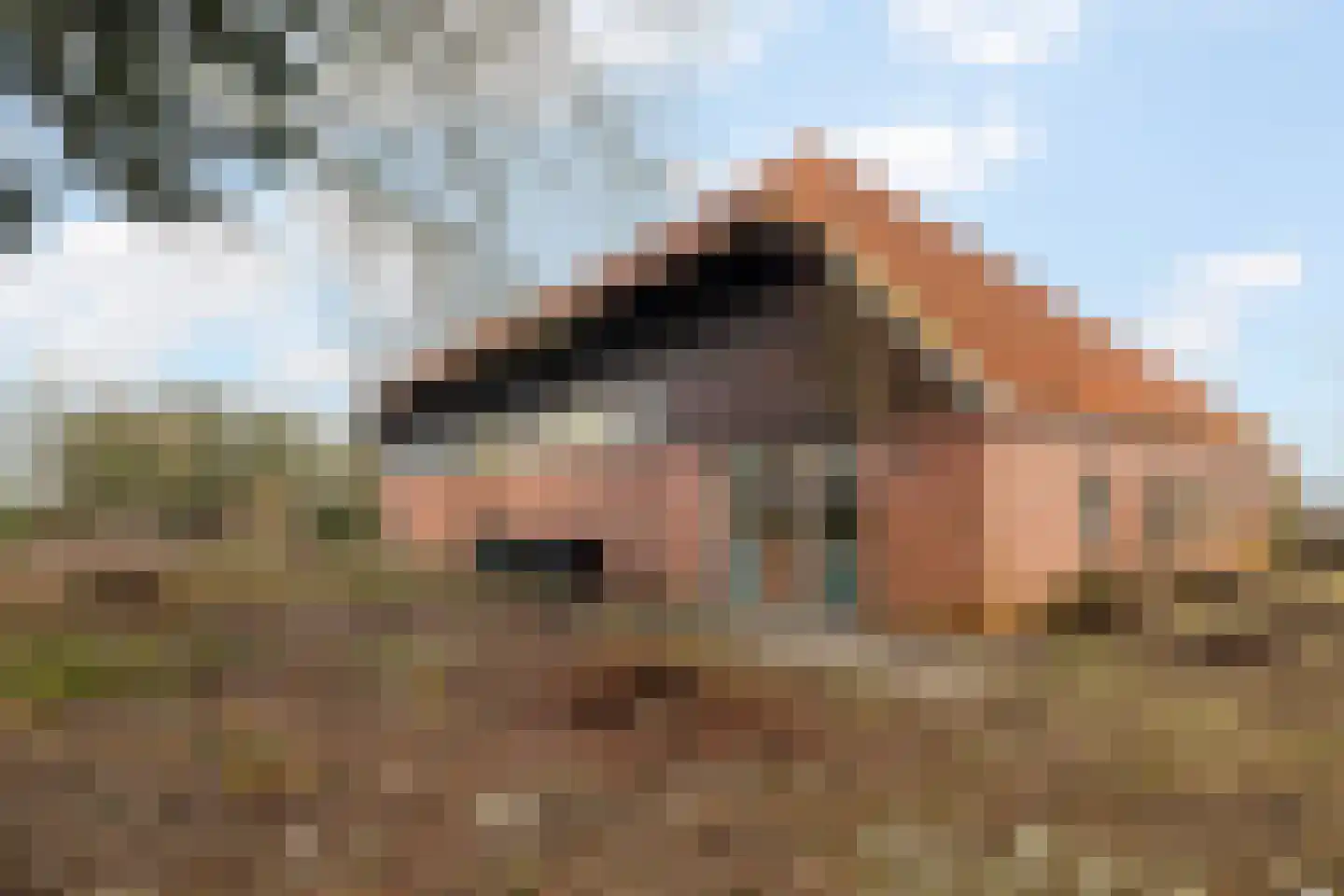 Leemdobben 14 Sellingen thumbnail 24