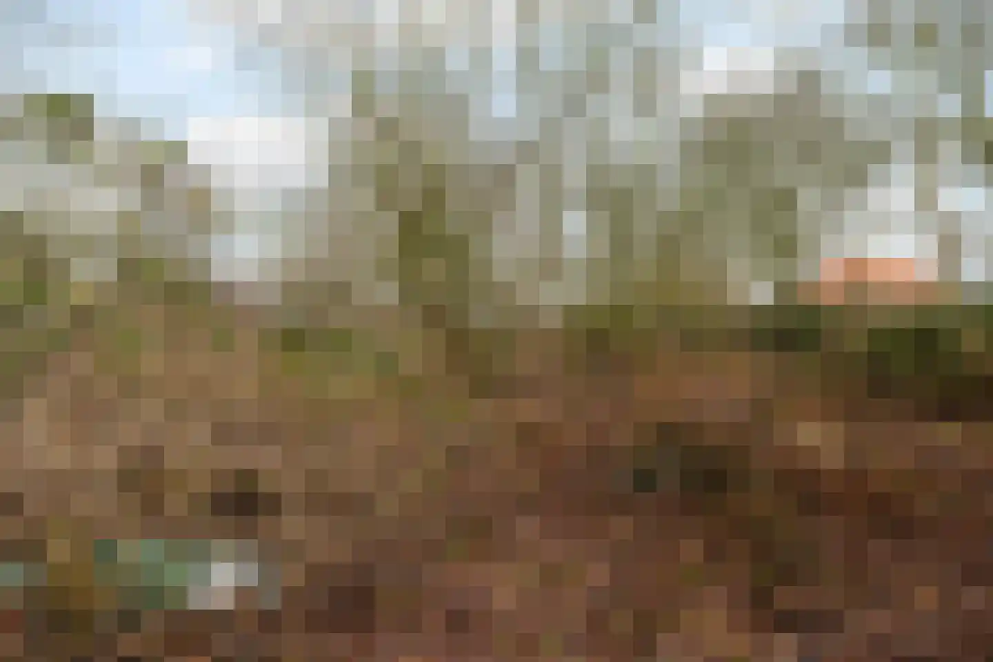 Leemdobben 14 Sellingen thumbnail 25