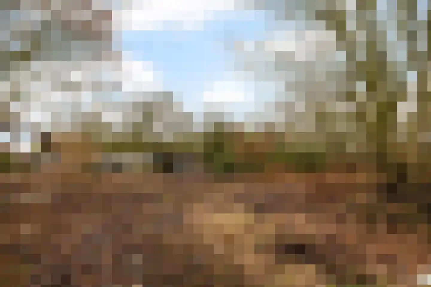 Leemdobben 14 Sellingen thumbnail 26