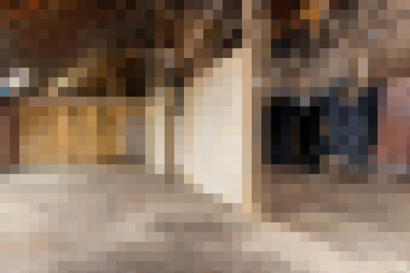 Leemdobben 14 Sellingen thumbnail 36