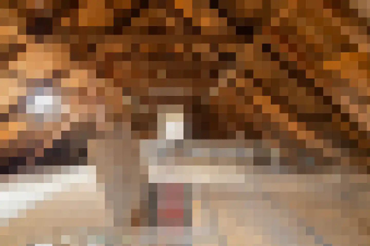 Leemdobben 14 Sellingen thumbnail 40