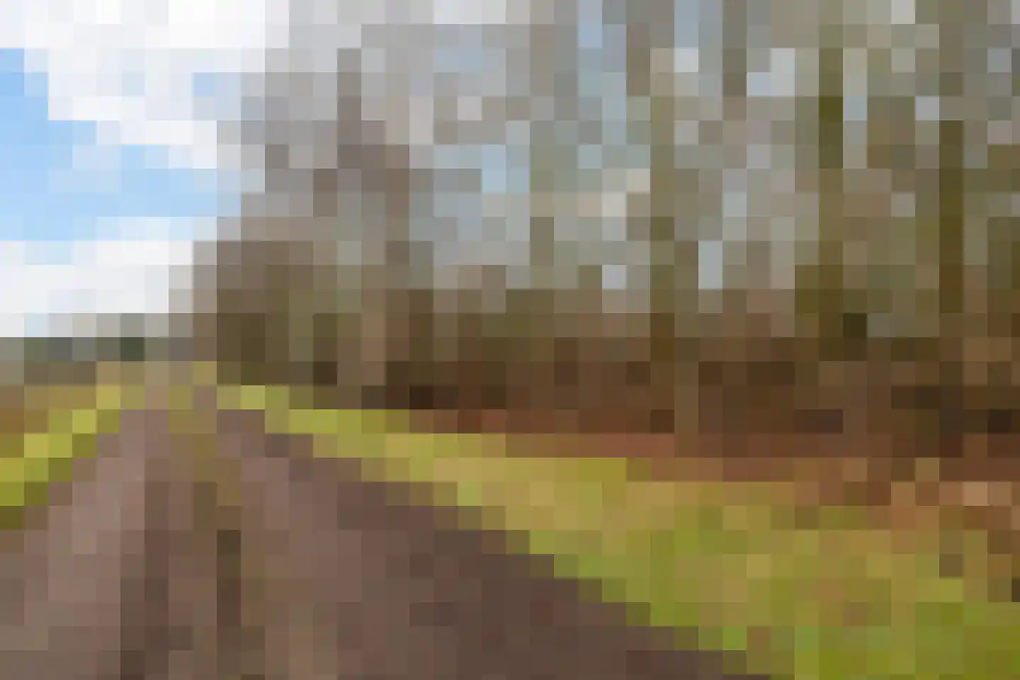 Leemdobben 14 Sellingen thumbnail 44