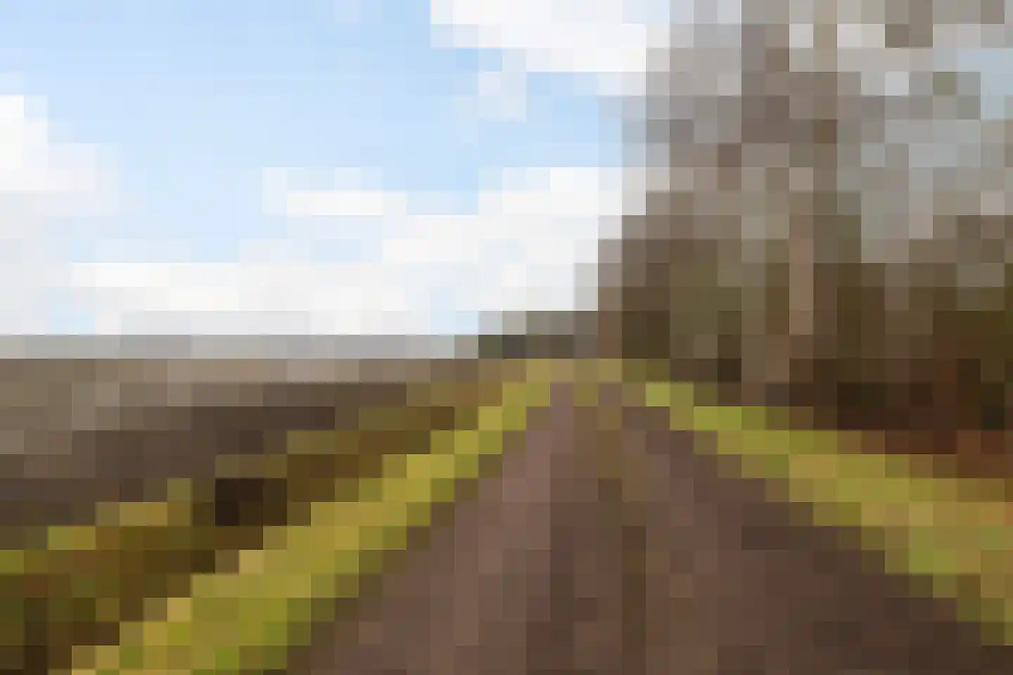 Leemdobben 14 Sellingen thumbnail 45
