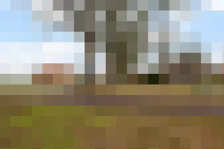 Leemdobben 14 Sellingen thumbnail 6