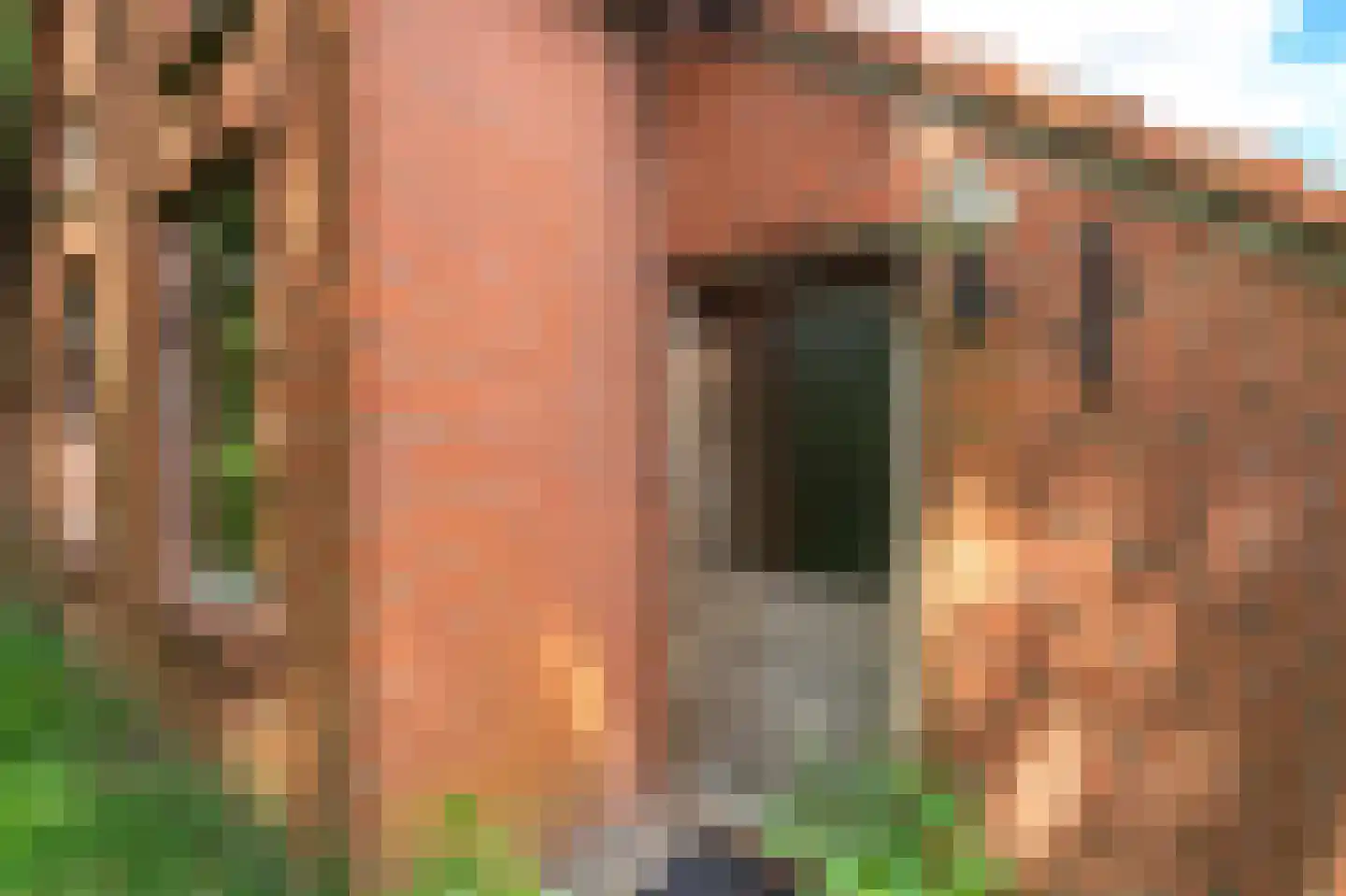 Leemdobben 26 Sellingen thumbnail 12