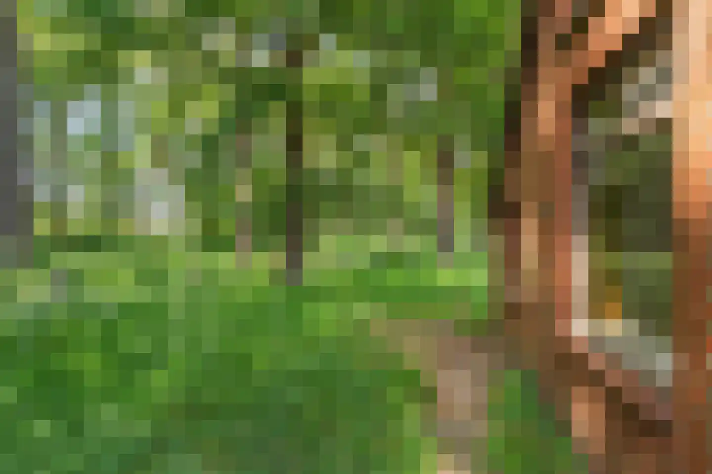Leemdobben 26 Sellingen thumbnail 13